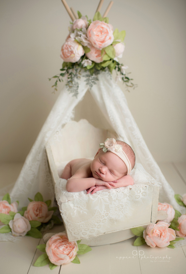 appear photography, hoover, birmingham, al newborn baby photographer, photography, newborn posing, teepee, floral, peonies, pink flowers, baby bed, lace